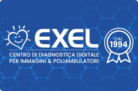 Exelambulatori segnaposto articoli